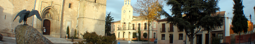 Banner de cabecera