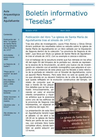Imagen Boletín Teselas Nº35
