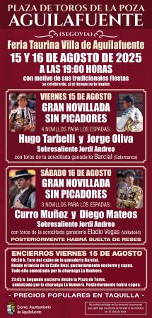 Imagen Programación taurina Fiestas en Honor a la Virgen de la Asunción 2025