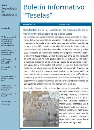 Imagen Boletín Teselas Nº29